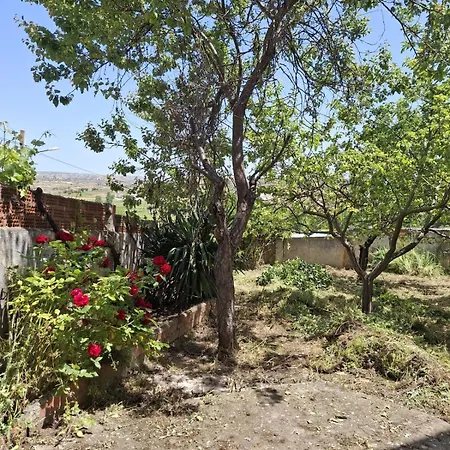 Bonita Y Tranquila Cerca De Noheda Holiday home *